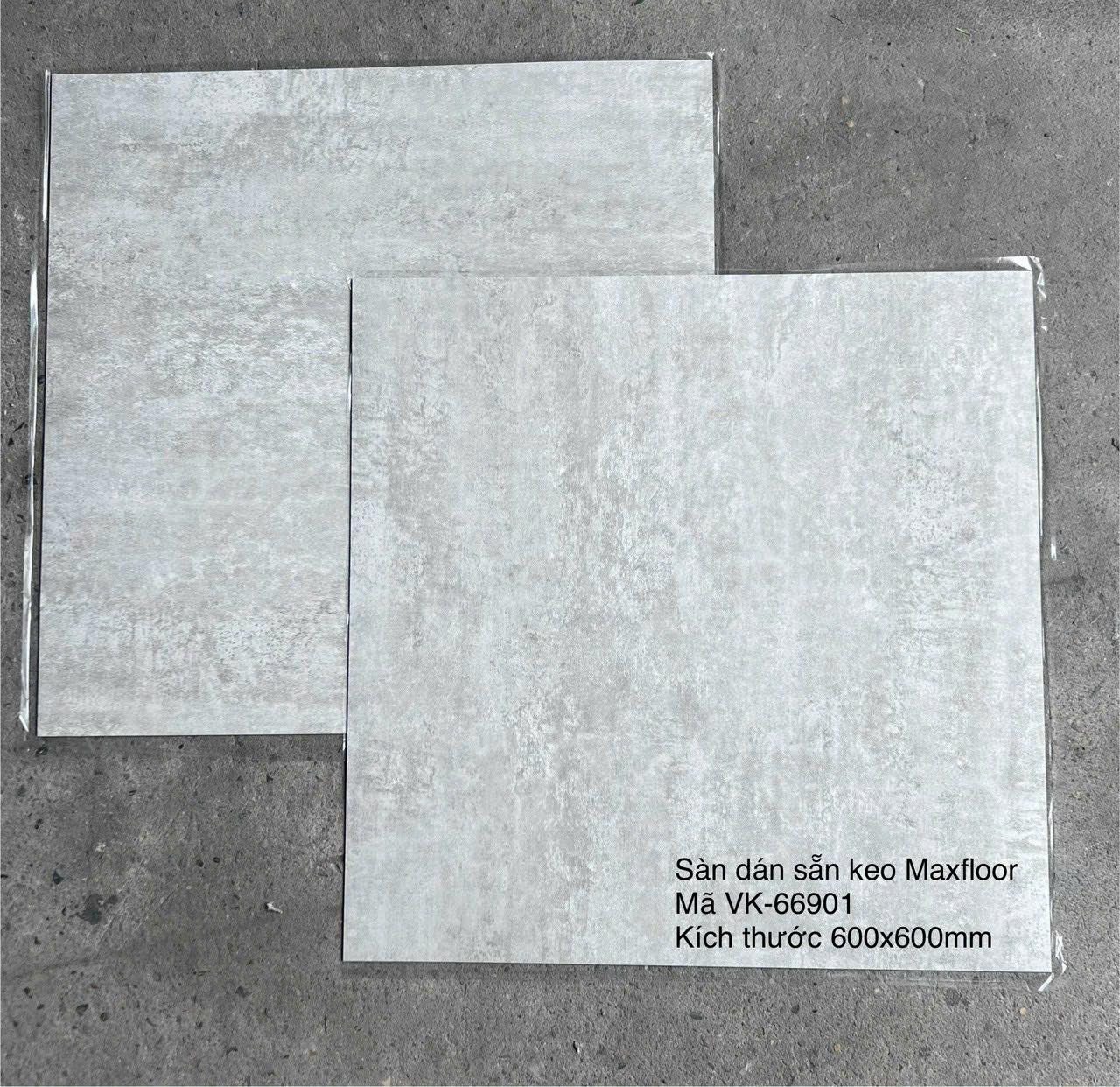Sàn Nhựa Vân Đá Keo Sẵn MX FLooring 66901