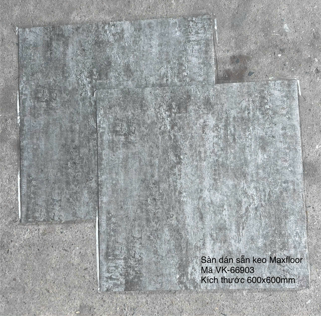 Sàn Nhựa Vân Đá Keo Sẵn MX FLooring 66903