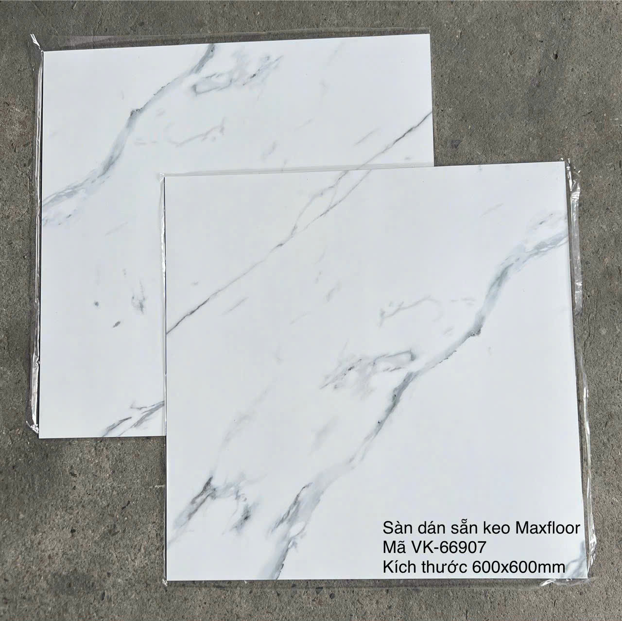 Sàn Nhựa Vân Đá Keo Sẵn MX FLooring 66907