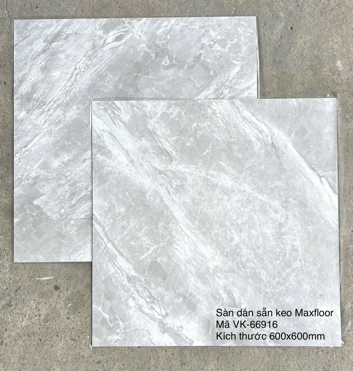 Sàn Nhựa Vân Đá Keo Sẵn MX FLooring 66916