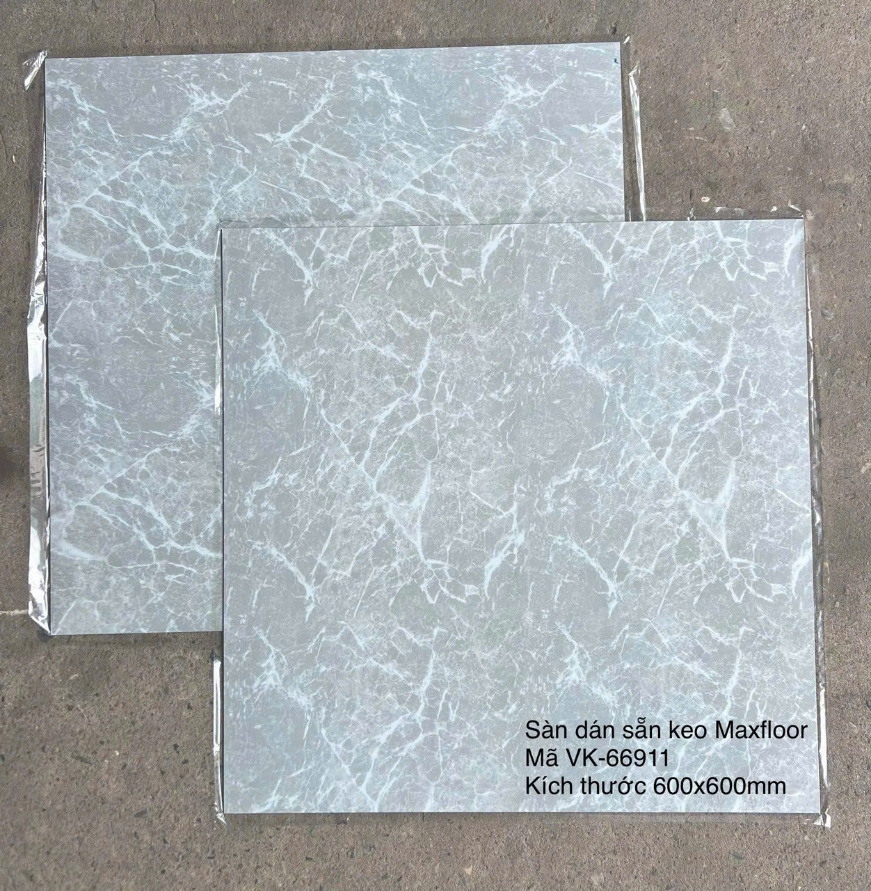 Sàn Nhựa Vân Đá Keo Sẵn MX FLooring 66911