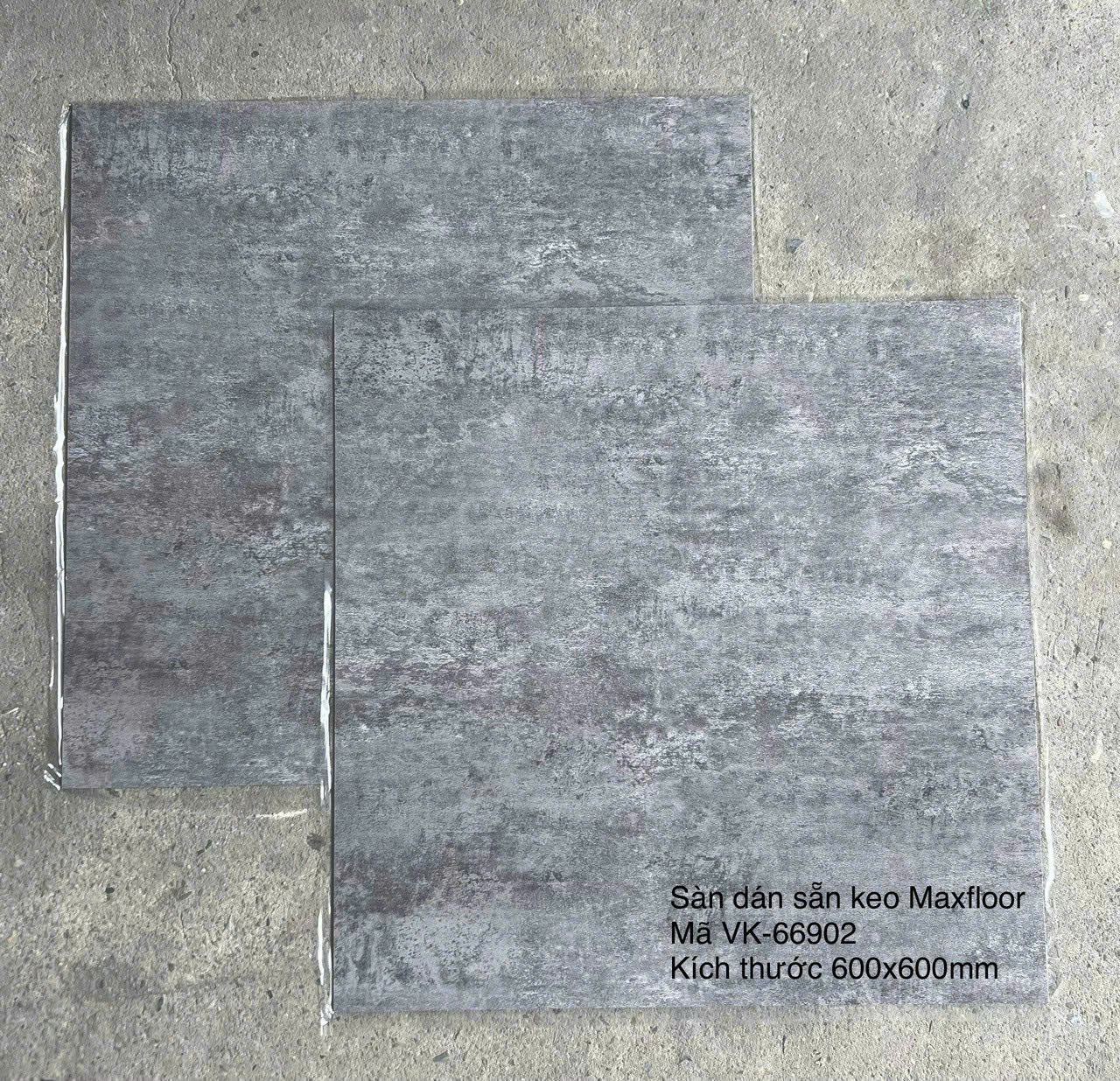 Sàn Nhựa Vân Đá Keo Sẵn MX FLooring 66902