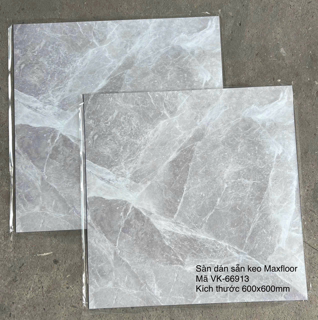 Sàn Nhựa Vân Đá Keo Sẵn MX FLooring 66913